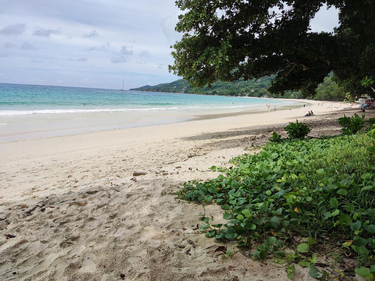 Riverside Mount Simpson Upper Beau Vallon  Eksteriør bilde
