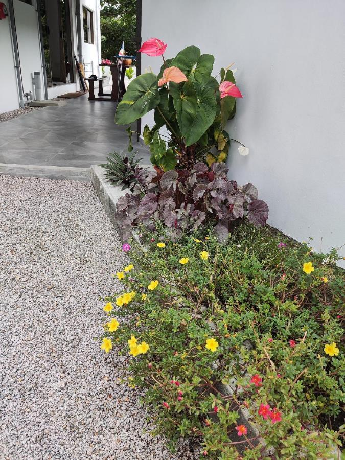 Riverside Mount Simpson Upper Beau Vallon  Eksteriør bilde